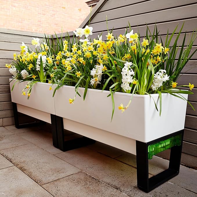 Glowpear Self Watering Planter Box - 29.5", White - UV Stable, Scalable Urban Raised Garden Bed with Water Gauge, Indoor Outdoor for Vegetables, Flowers, Herbs, and Succulents, Gardening