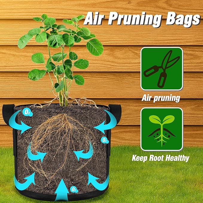 PHYEX 12-Pack 5 Gallon Grow Bags, Heavy Duty Fabric Pots with Handles, Reusable Plant Bags for Vegetable, Herbs & Flowers, BPA-Free, Breathable, Durable