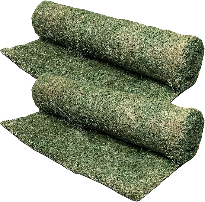 Dewitt 2-Pack Single Net Excelsior Blanket, Green, 4 x 112.5 Feet – Aspen Wood Fiber Erosion Control Mat with Netting for Soil Protection, Grass & Seed Establishment, Ground Cover and Landscaping