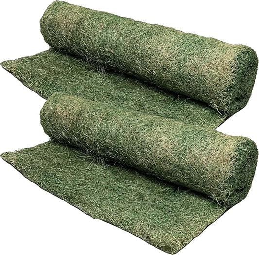 Dewitt 2-Pack Single Net Excelsior Blanket, Green, 4 x 112.5 Feet – Aspen Wood Fiber Erosion Control Mat with Netting for Soil Protection, Grass & Seed Establishment, Ground Cover and Landscaping