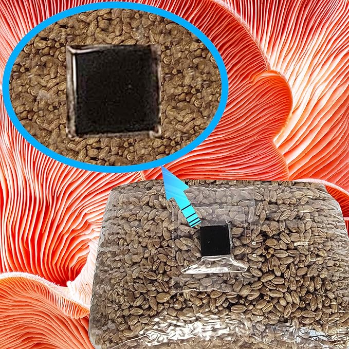 Mushroom Grow Bags with Self Healing Injection Port - 20 Bags - Evviva Sciences - 0.2 Micron Patch - Thick 3mm Polypropylene - Autoclavable, Durable, & Tear Resistant