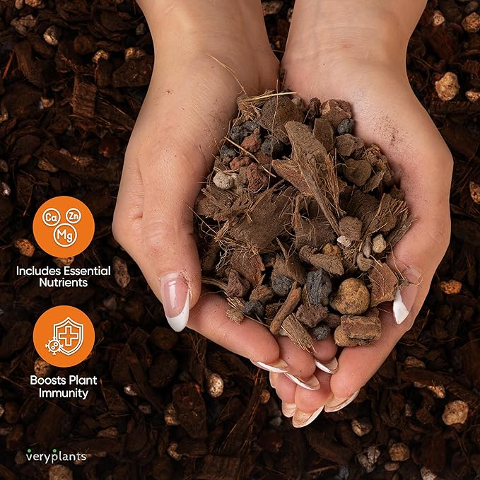 Molly's Orchid Potting Mix - Premium Gritty Soilless Orchid Mix - Chunky High Drainage vs Standard Potting Soil for Indoor Plants - Contains Bark, Coco Chips, Akadama, Pumice, Lava Rock 3 Dry Quarts