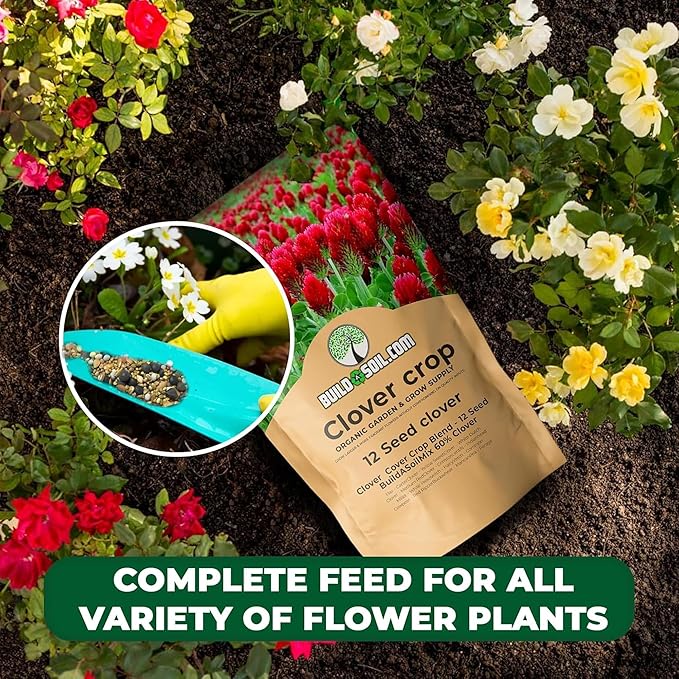 BuildASoil No-Till Clover Seed Cover Crop Blend 12 Species Cover Crop Seed Mix Premium Clover Seeds for Lawn - Plants Friendly Cover Crop for Garden - 60% Clover (1 lb Bag)