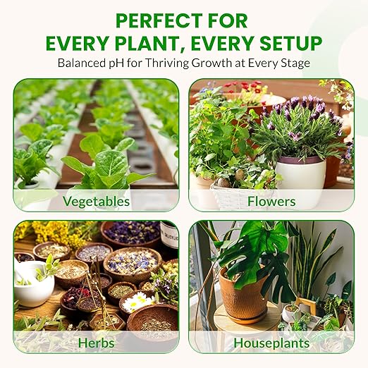 Humboldts Secret pH Down for Plants | Liquid pH Adjuster and Balancer for Soil Coco Hydroponics | Concentrated Phosphoric Acid Solution Supporting Nutrient Uptake and Strong Growth | 1 Gallon