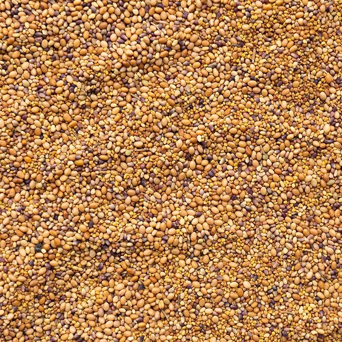 Clover Trio Seed Blend – Premium 5 Lb Bulk ~896,000 Seeds – Red, White & Crimson Clover – Cover Crop & Soil Enrichment Mix