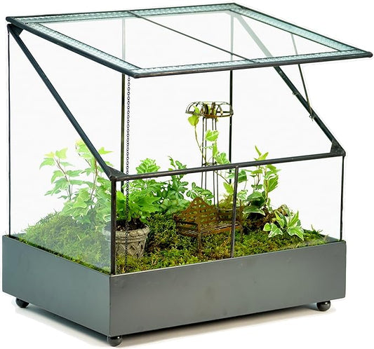 H Potter Terrarium Wardian Case Plant Container Succulent Planter Fairy Garden Display Case WAR153