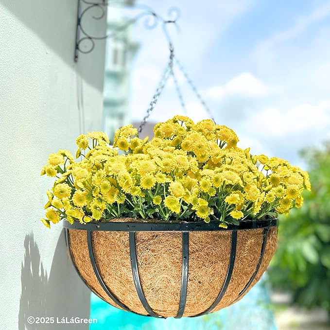 LaLaGreen Outdoor Hanging Baskets for Plants (4 Pack, 18 Inch) Extra Large Black Metal Flat Iron Hanging Planter with Coco Liner Round Flower Pot Holder Deck Porch Modern Garden Balcony Rustic Decor