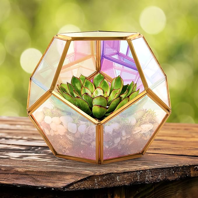 D'Eco Iridescent Glass Centerpiece (7x7x6) - Tabletop Planter Terrarium for Home & Wedding Decor - Fill with Succulents, Moss, Holiday Decorations, Mini Trees & Ornaments - Xmas Gift for Plant Lovers