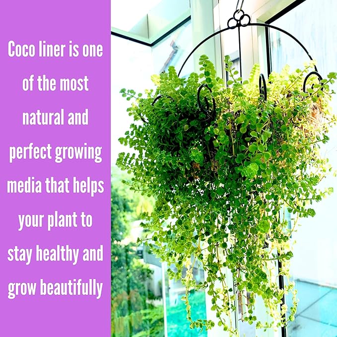 ShopLaLa Wall Planters Outdoor Plants (10 Inch, 10 Pack) Balcony Planters Railing Hanging Fence Planter Over Railing Planters Coco Liner, Wall Mounted Flower Basket Metal Wire Deck Porch Patio Garden